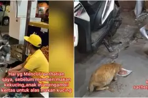 Viral bocah silver sisihkan penghasilan demi belikan makan kucing liar