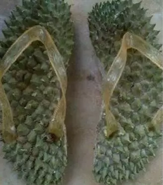 alas kaki desain nyeleneh Instagram