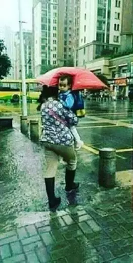 momen apes ketika hujan Berbagai sumber