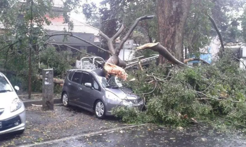 momen apes ketika hujan Berbagai sumber