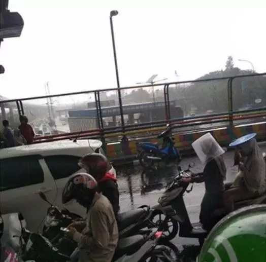 momen apes ketika hujan Berbagai sumber