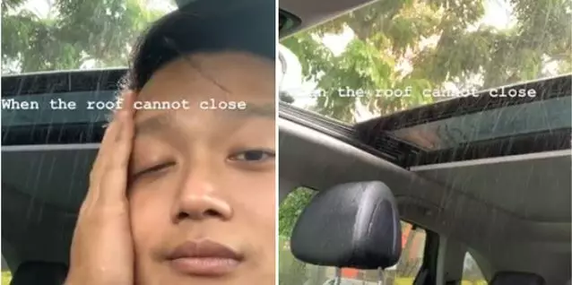 momen apes ketika hujan Berbagai sumber