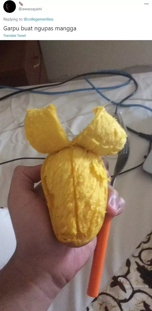 Lifehack masak makanan berbagai sumber