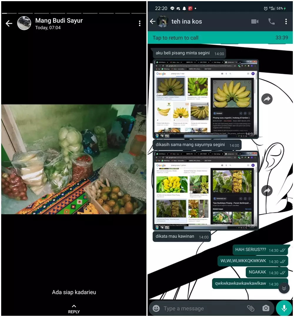 Chat Whatsapp lucu dengan tukang sayur © 2020 brilio.net