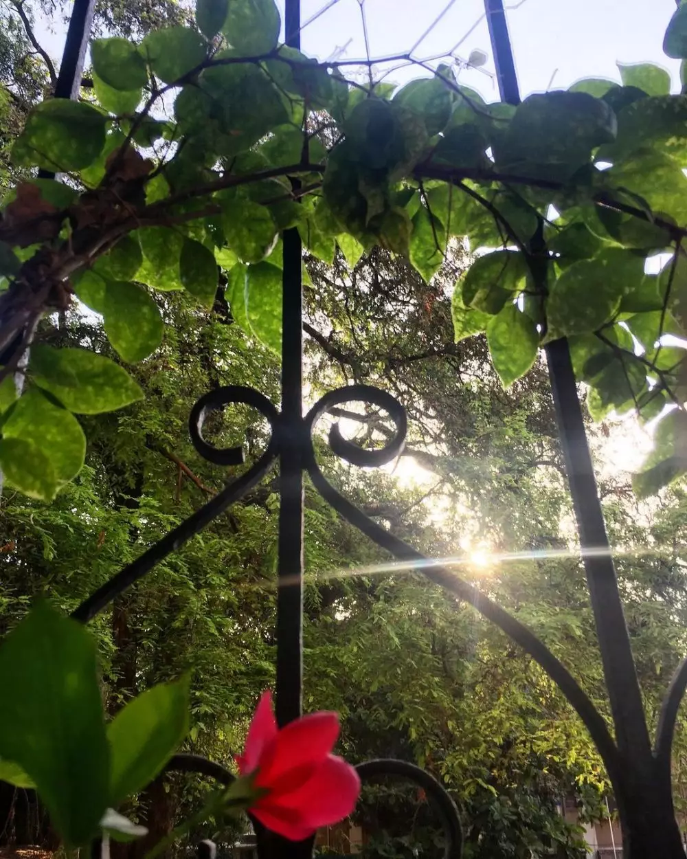 rumah Shweta Basu Nandini © Instagram