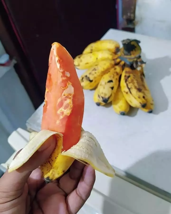 cara unik makan buah © Instagram