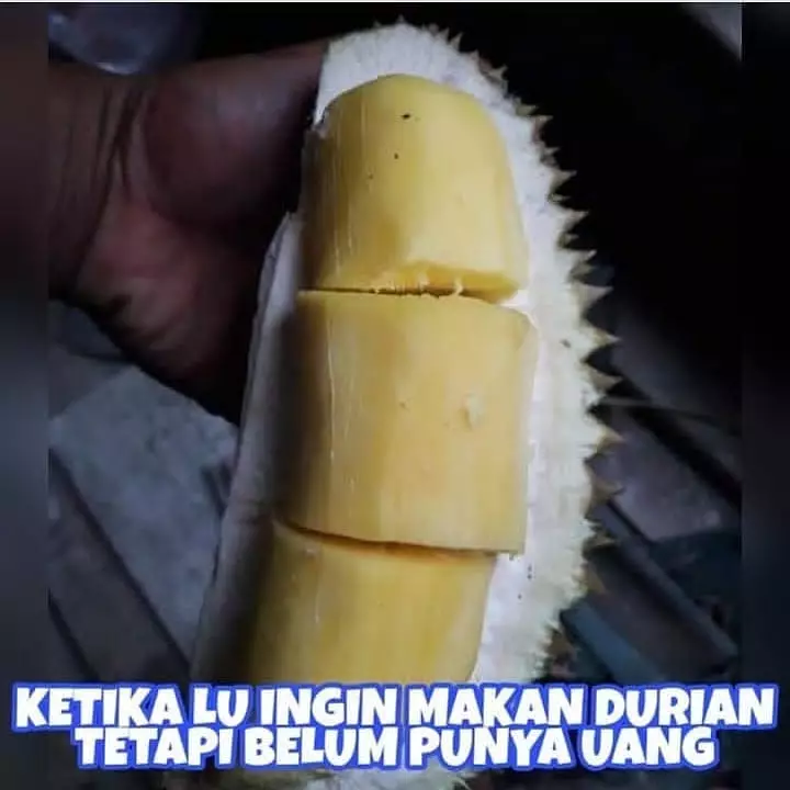 cara unik makan buah © Instagram