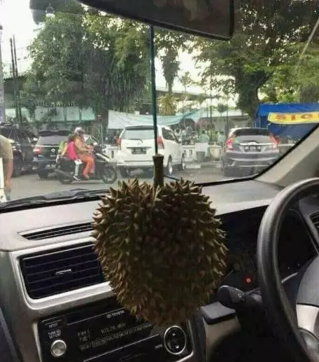 10 benda ini malah bikin ngakak sampai kening berkerut istimewa