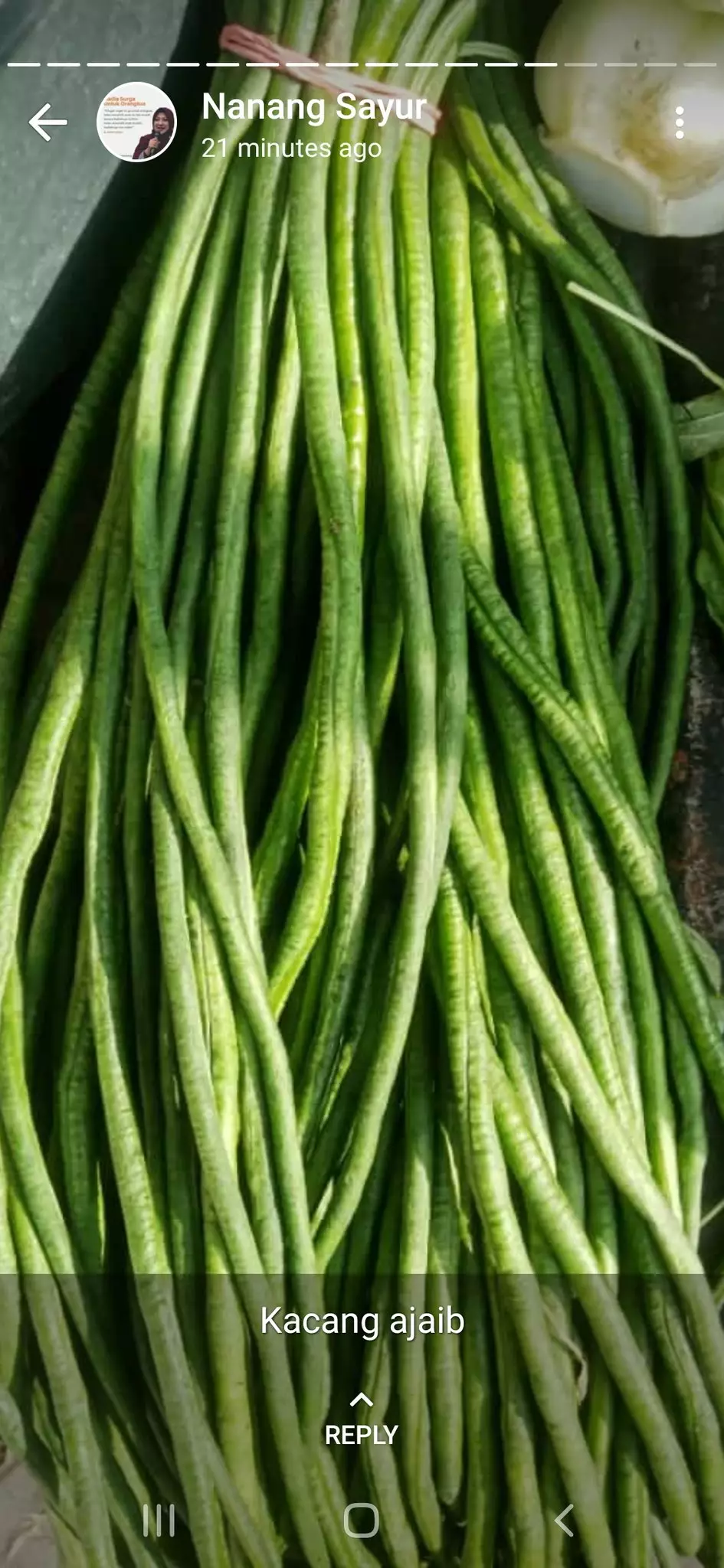 Status WA kocak  tukang sayur © 2020 brilio.net Status WA kocak  tukang sayur © 2020 brilio.net