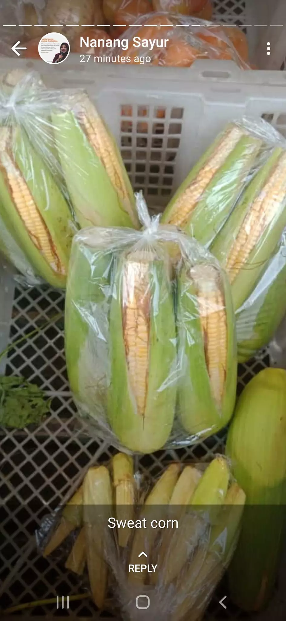 Status WA kocak  tukang sayur © 2020 brilio.net Status WA kocak  tukang sayur © 2020 brilio.net