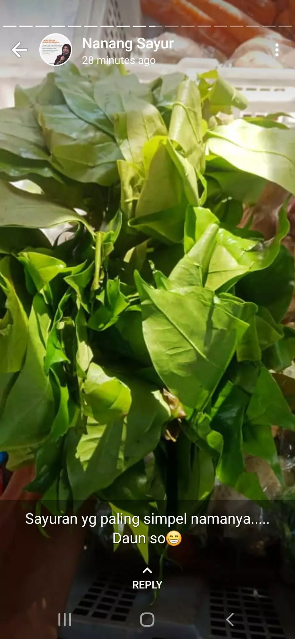 Status WA kocak  tukang sayur © 2020 brilio.net Status WA kocak  tukang sayur © 2020 brilio.net