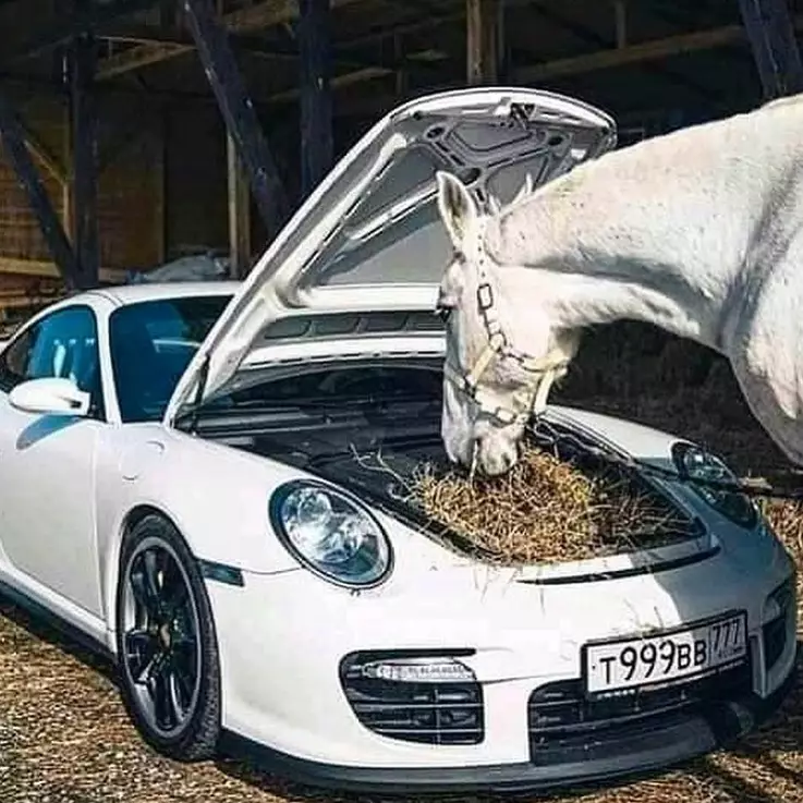 fungsi lain mobil mewah © Instagram