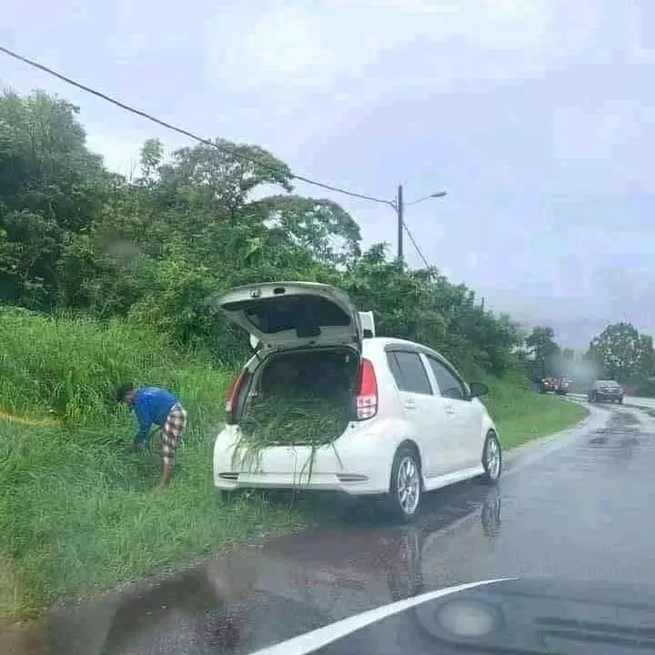 fungsi lain mobil mewah © Instagram