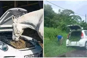 8 Potret mobil mewah beralih fungsi tak terduga, jadi jembatan