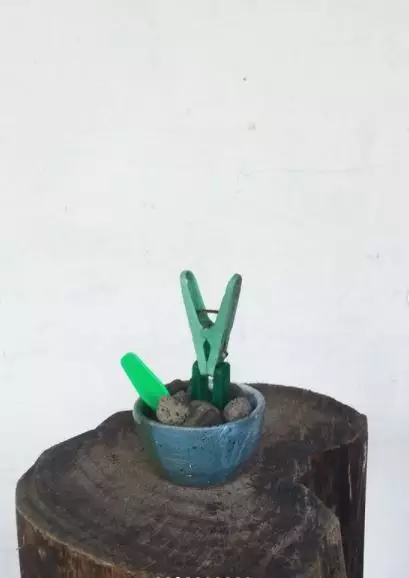 tanaman bukan dari tumbuhan Instagram