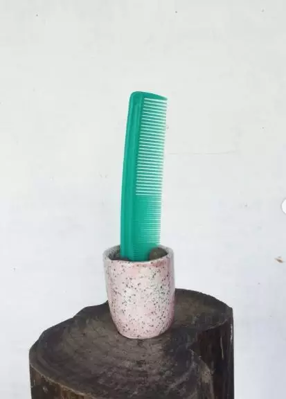 tanaman bukan dari tumbuhan Instagram