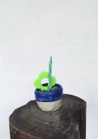 tanaman bukan dari tumbuhan Instagram