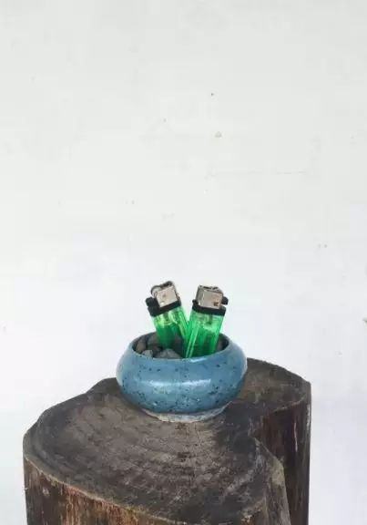 tanaman bukan dari tumbuhan Instagram