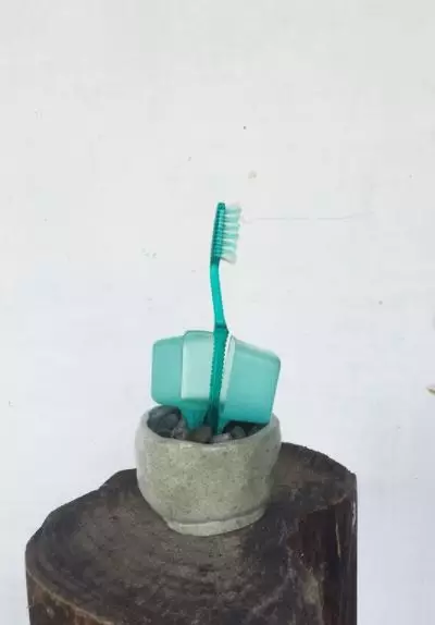 tanaman bukan dari tumbuhan Instagram