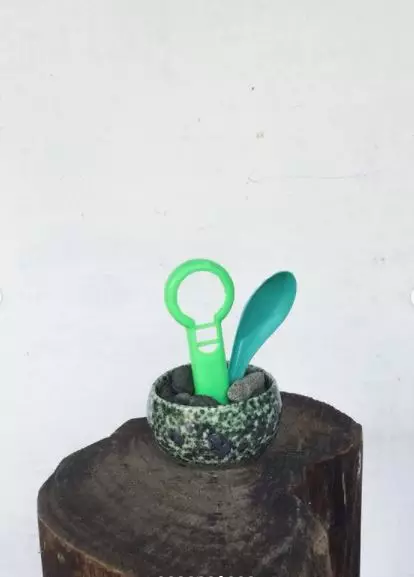 tanaman bukan dari tumbuhan Instagram