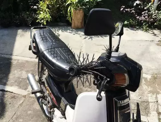 cara absurd pakai paku Berbagai sumber