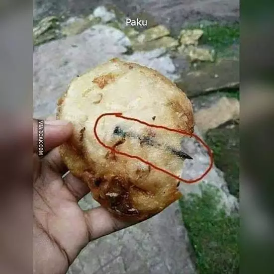 cara absurd pakai paku Berbagai sumber