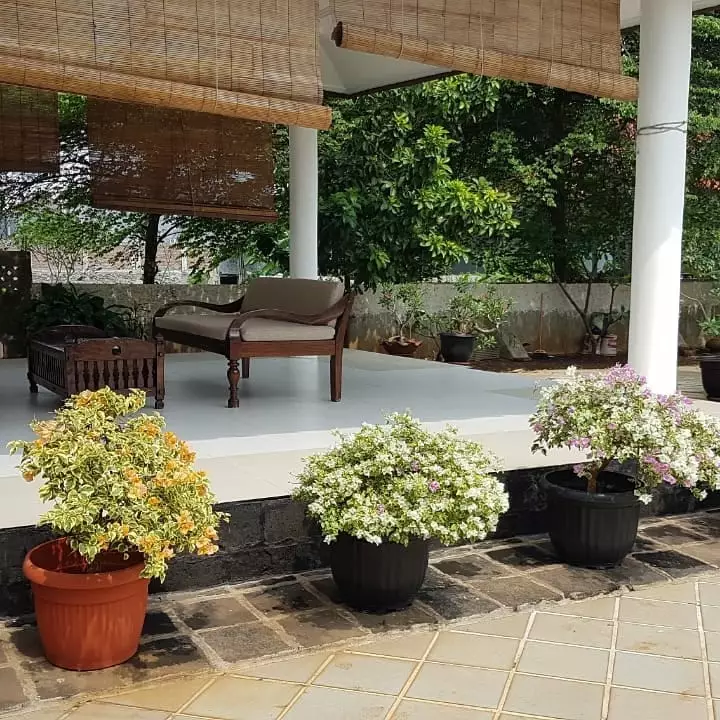 potret rumah Roy Marten © Instagram