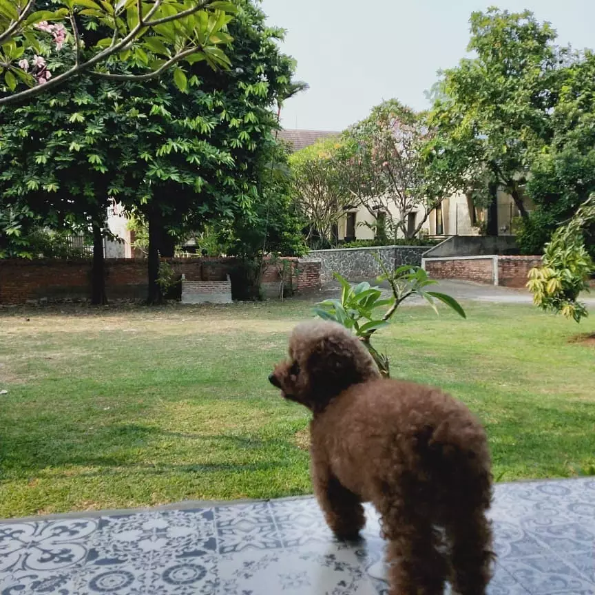 potret rumah Roy Marten © Instagram