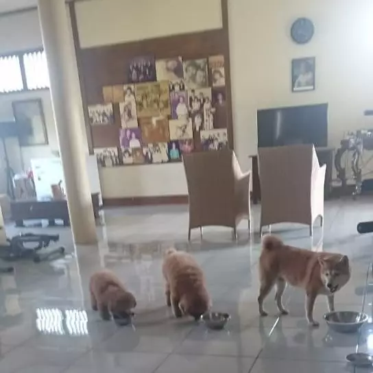 potret rumah Roy Marten © Instagram