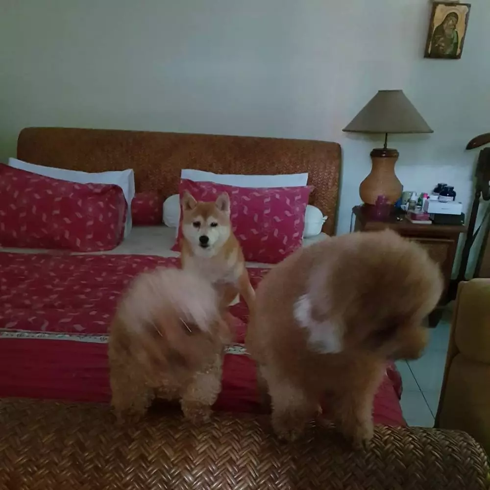 potret rumah Roy Marten © Instagram