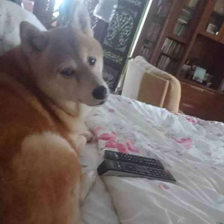 potret rumah Roy Marten © Instagram