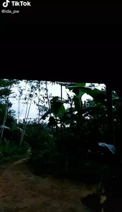 rumah Ida Purwasih © TikTok
