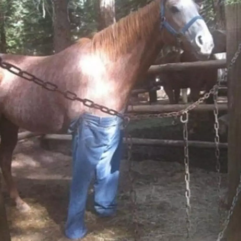 hewan seperti manusia © Instagram hewan seperti manusia © Instagram