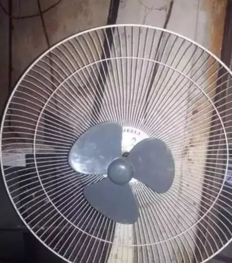 tak ada rotan akar pun jadi © 2021 brilio.net tak ada rotan akar pun jadi © 2021 brilio.net