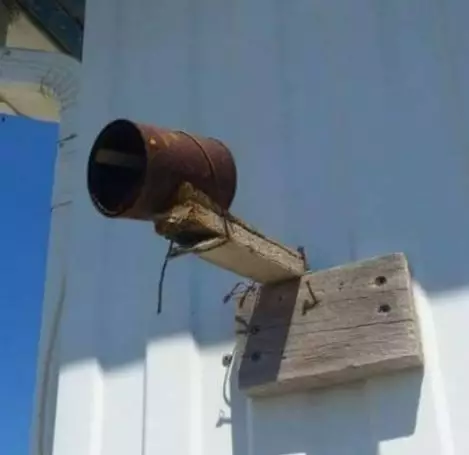 tak ada rotan akar pun jadi © 2021 brilio.net tak ada rotan akar pun jadi © 2021 brilio.net