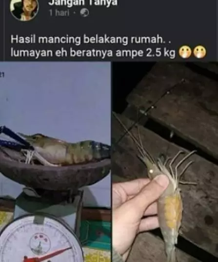 10 Cara pakai barang paling kocak istimewa 10 Cara pakai barang paling kocak istimewa
