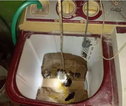 10 Cara pakai barang paling kocak istimewa 10 Cara pakai barang paling kocak istimewa