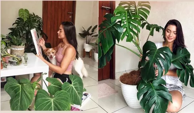 ruangan rumah 8 seleb ini penataannya Instagramable abis Instagram
