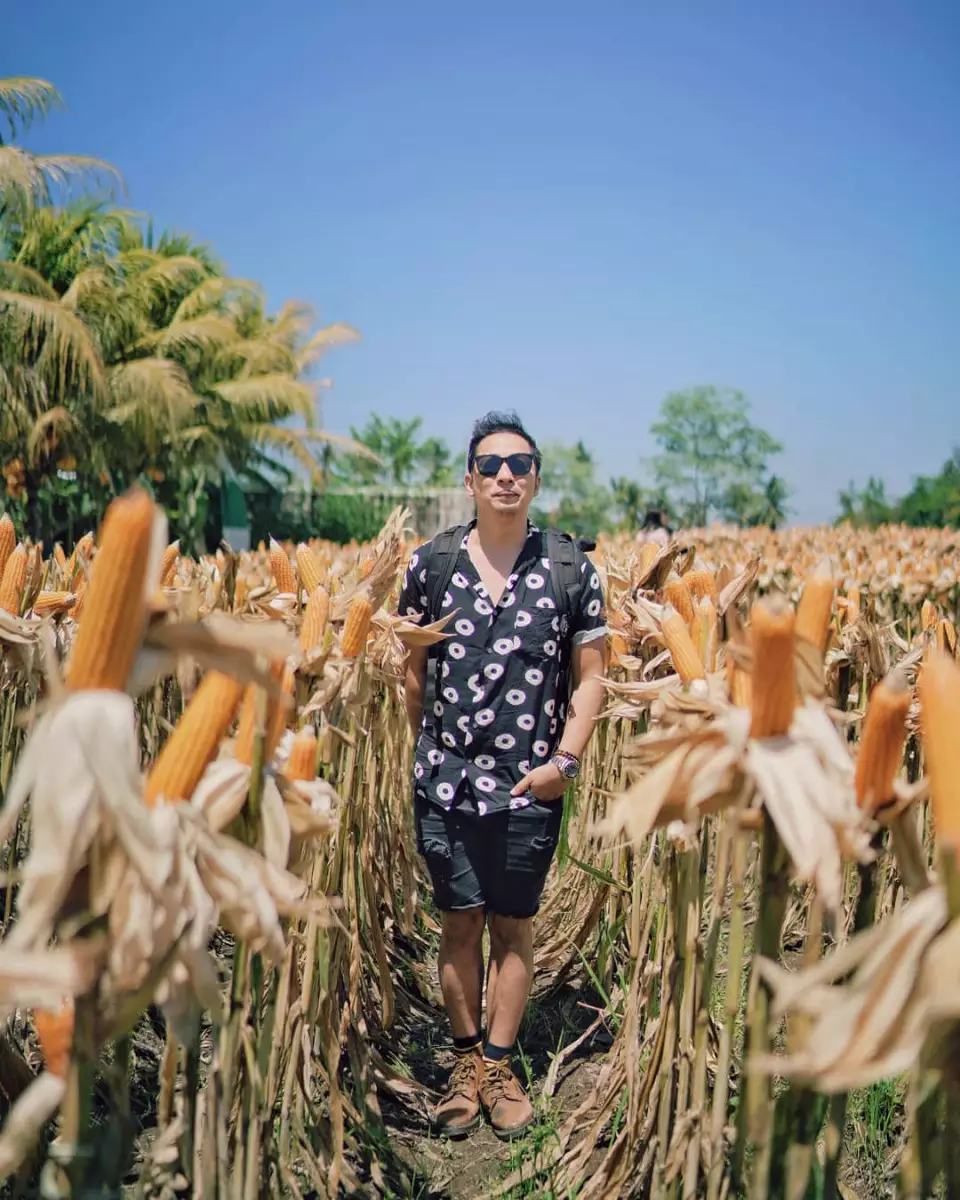 seleb ganteng sawah ©Instagram
