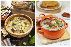 20 Resep sayur lodeh terong spesial, enak, praktis, dan sederhana