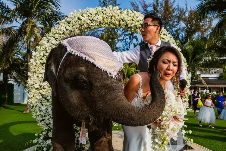 potret pasangan gagal romantis Berbagai sumber potret pasangan gagal romantis Berbagai sumber