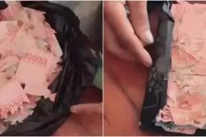 Disimpan 3 tahun lebih, uang Rp 15 juta ini hancur dimakan rayap