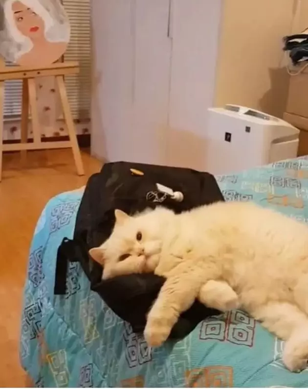 Rumah Armand Maulana dan Dewi Gita © 2021 brilio.net