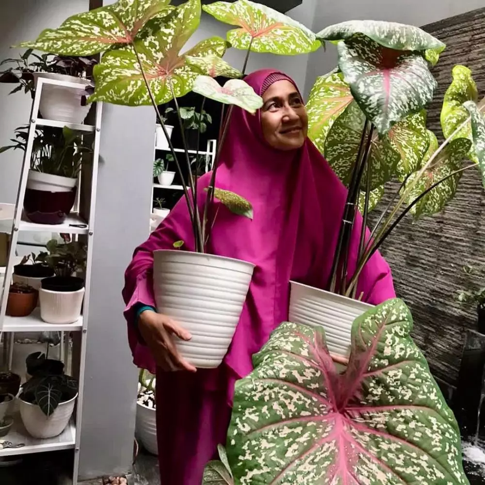 rumah pemain Jinny oh jinny © Instagram rumah pemain Jinny oh jinny © Instagram