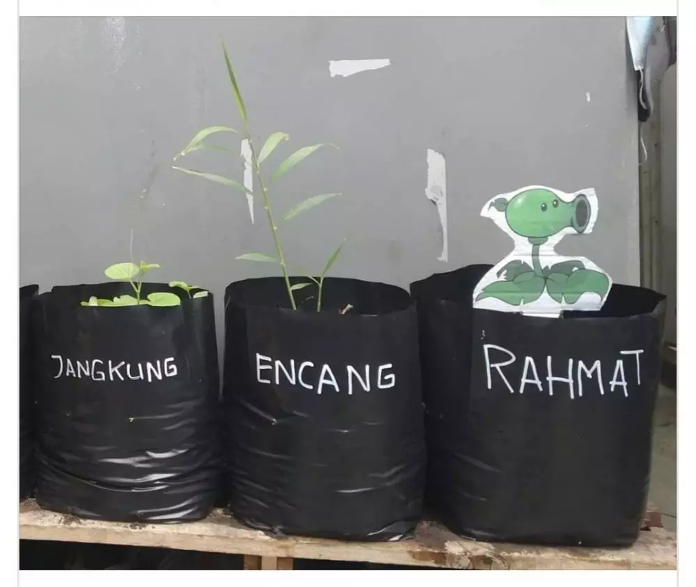 Kelakuan kurang kerjaan di rumah © Twitter