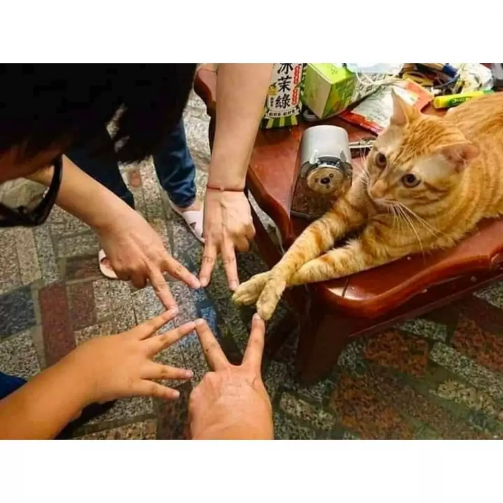 Kelakuan kurang kerjaan di rumah © Instagram