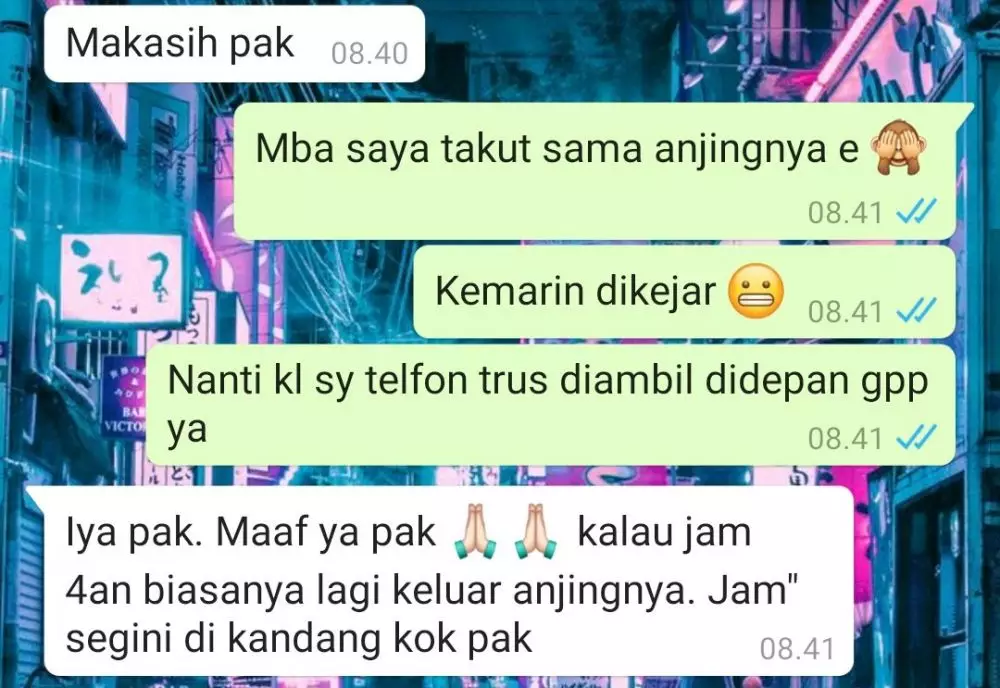 Chat kocak dari kurir © Twitter Chat kocak dari kurir © Twitter