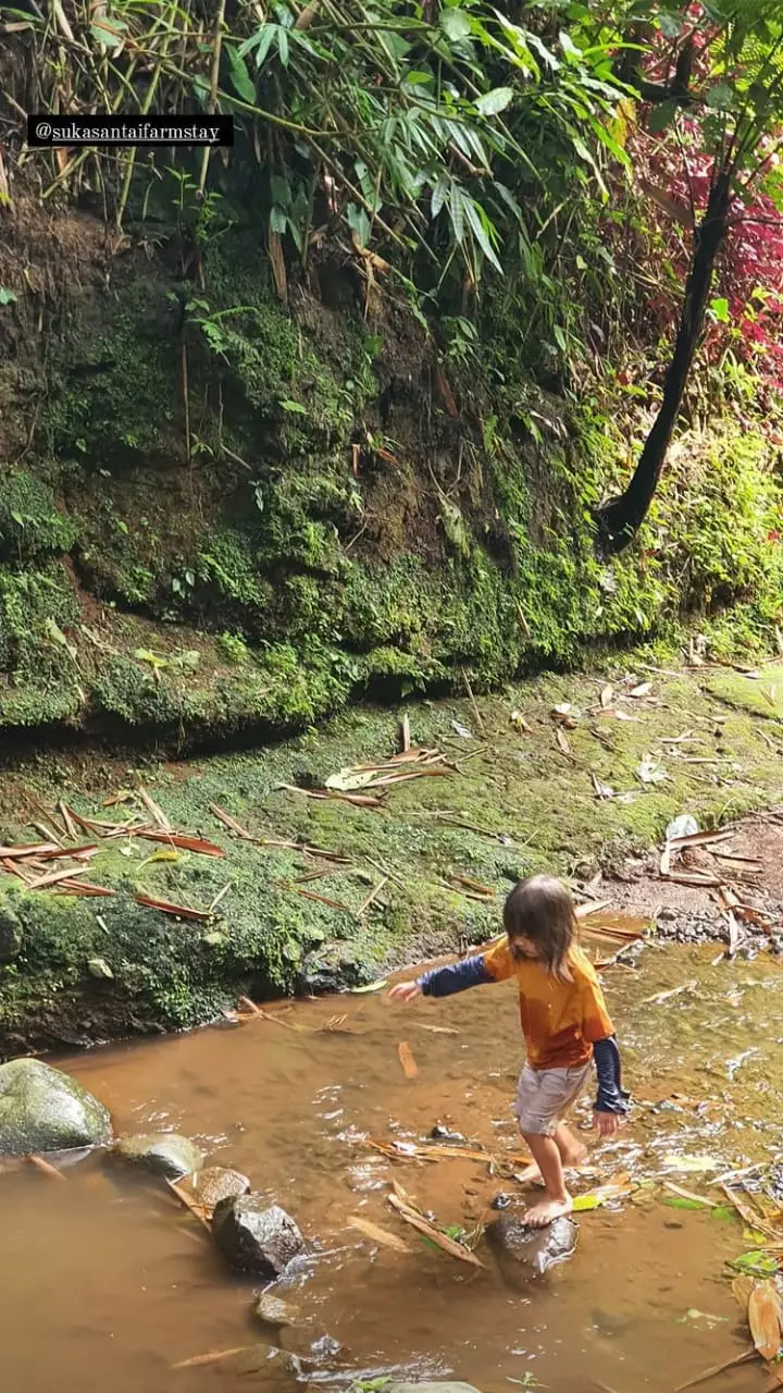 momen libur awal tahun ringgo © Instagram momen libur awal tahun ringgo © Instagram