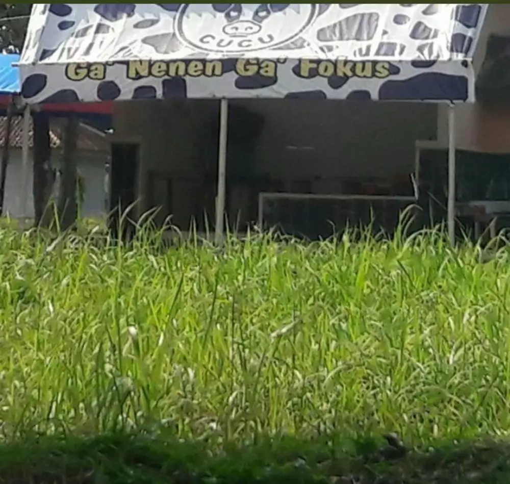 Desain lucu spanduk usaha © berbagai sumber