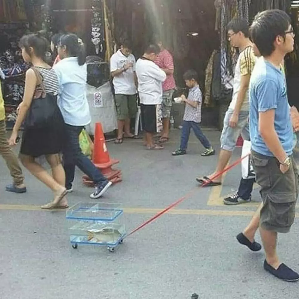 orang pelihara binatang © Instagram